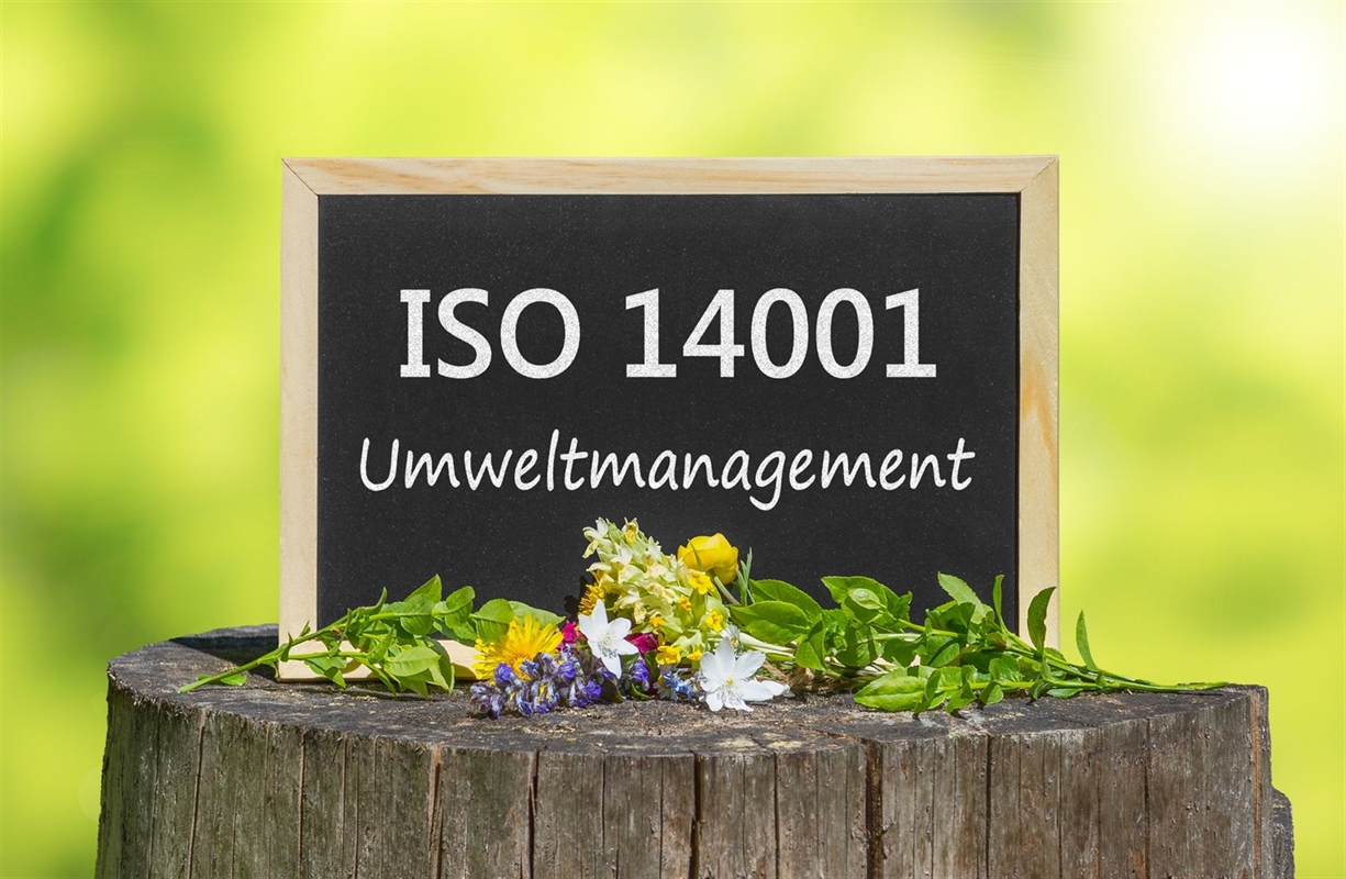Czy warto wdrożyć ISO 14001?